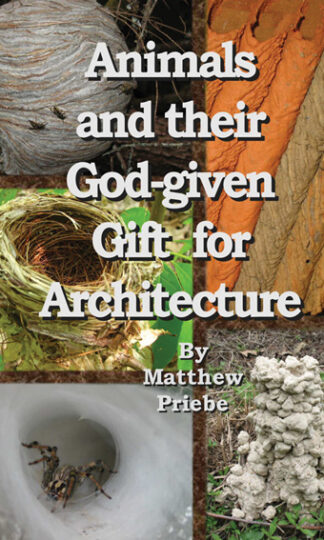 Animals and their God-given Gift for Architecture