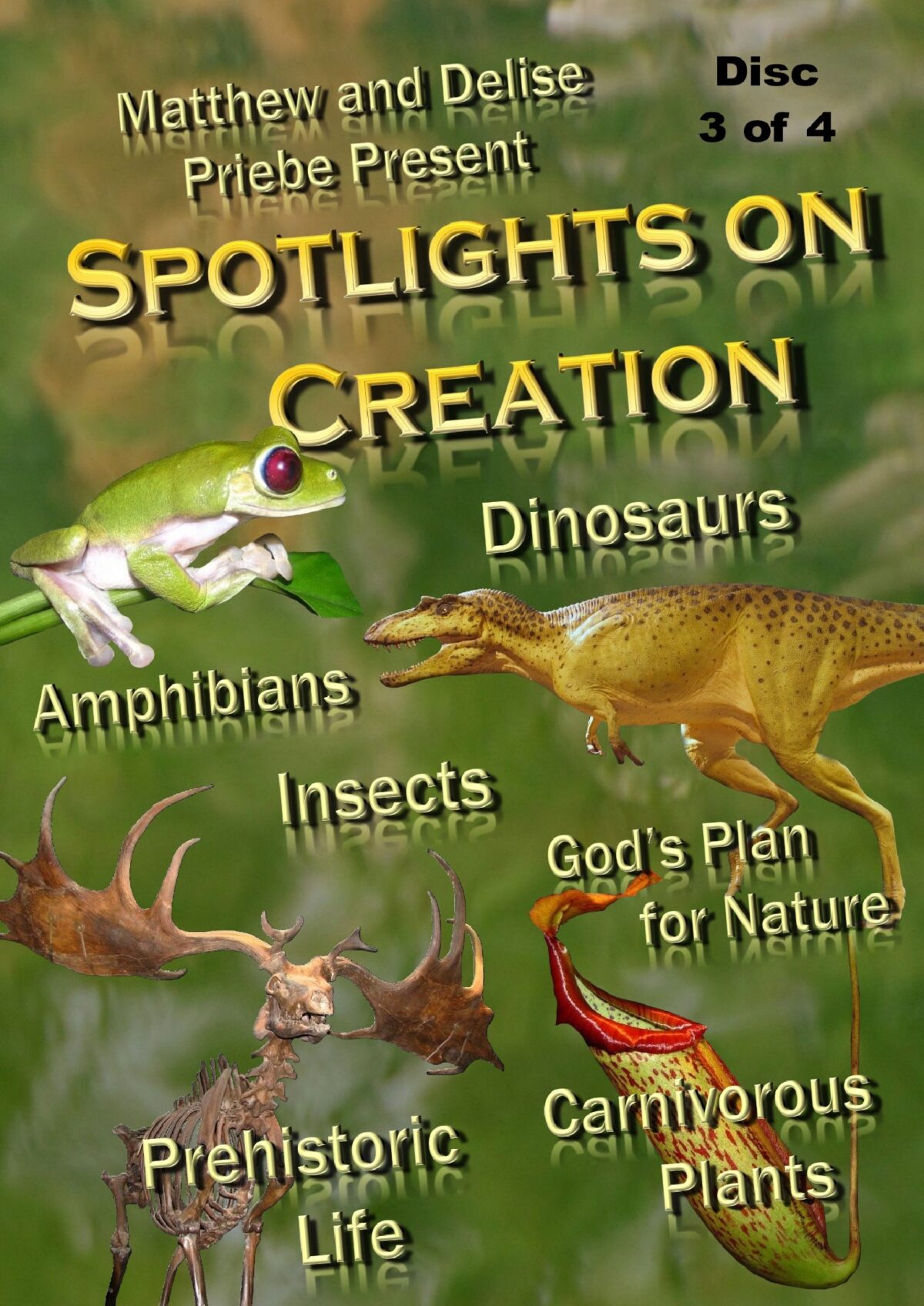 Spotlights on Creation {Part Three} Video