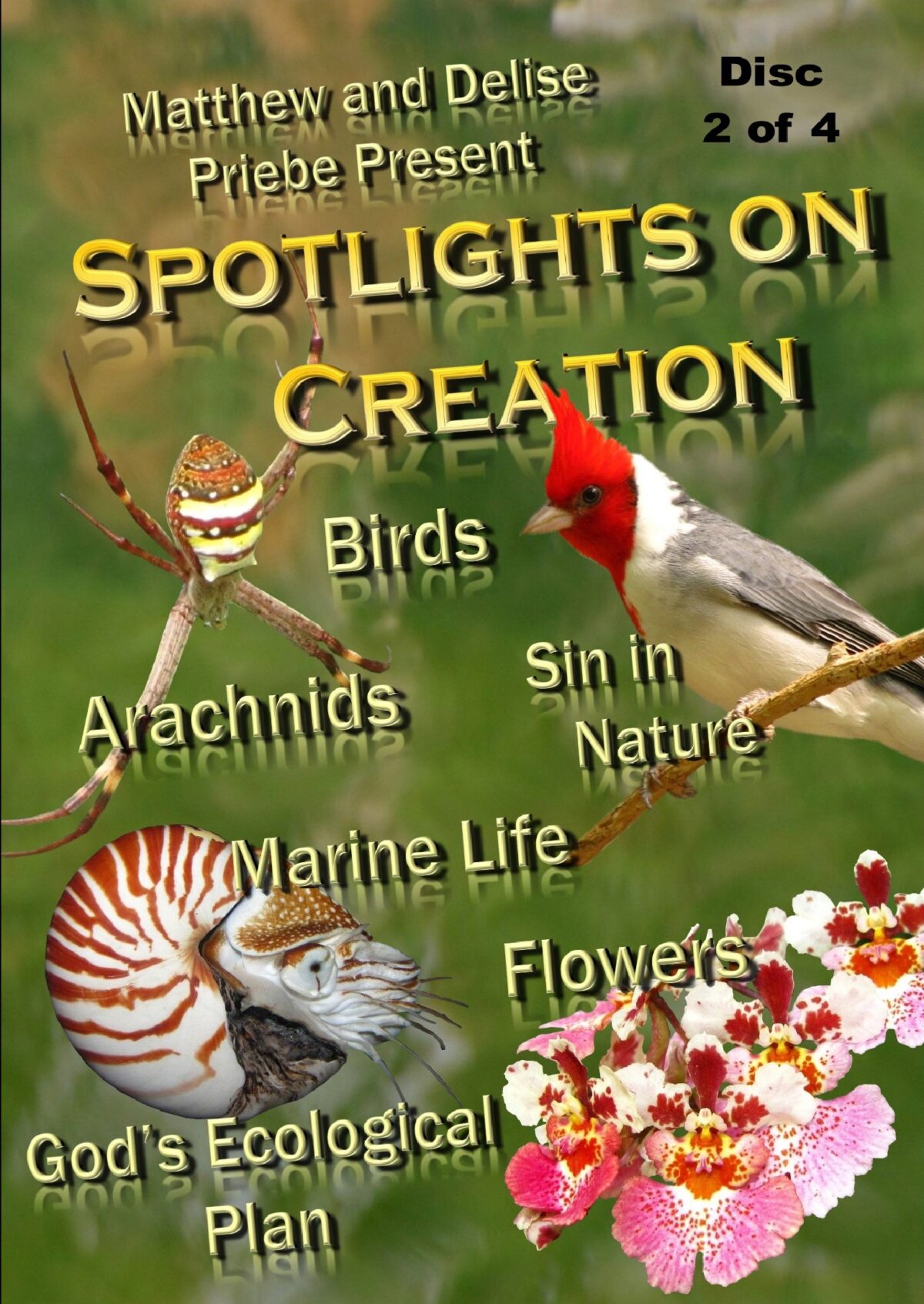 Spotlights on Creation {Part Two} Video