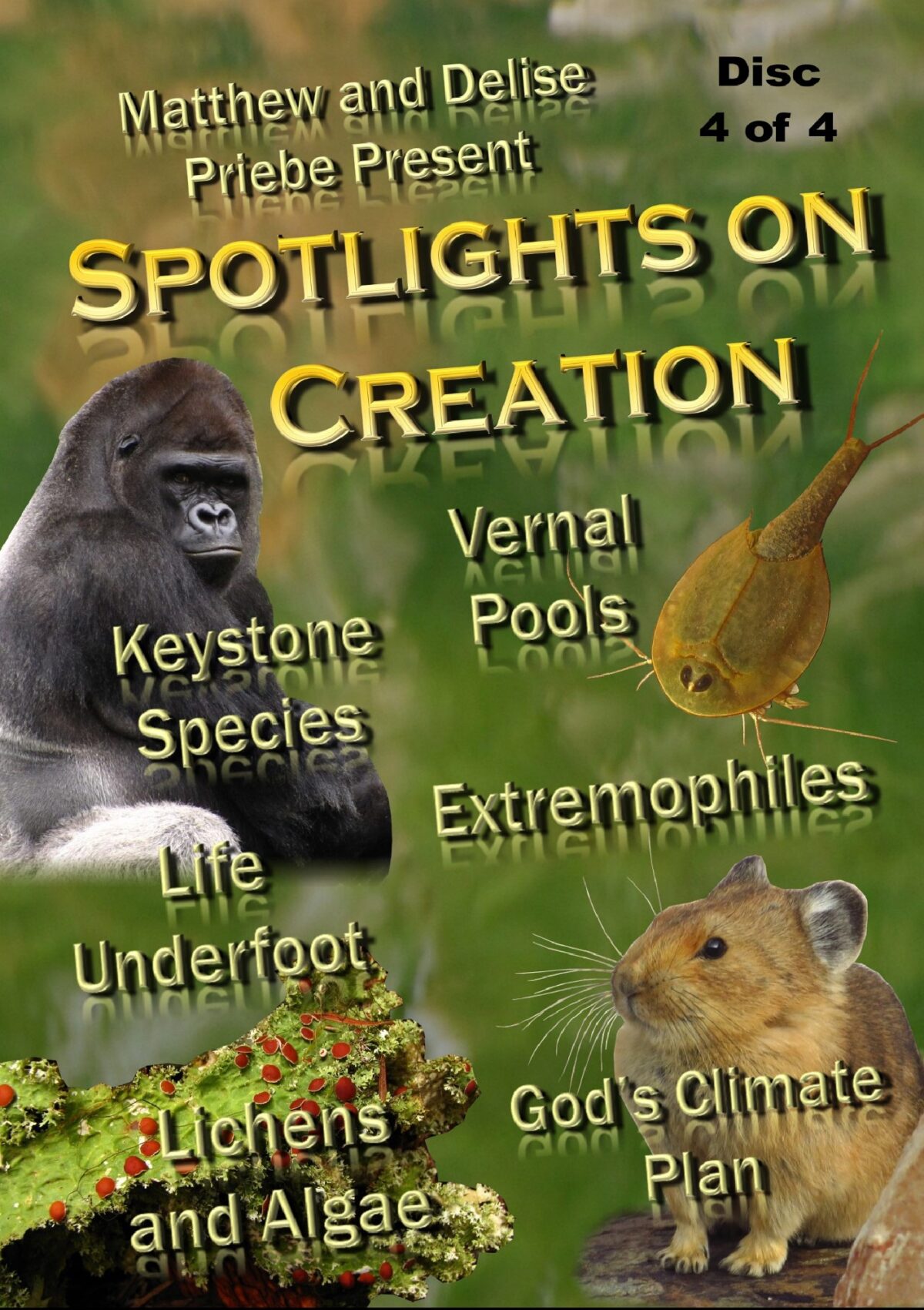 Spotlights on Creation {Part Four} Video