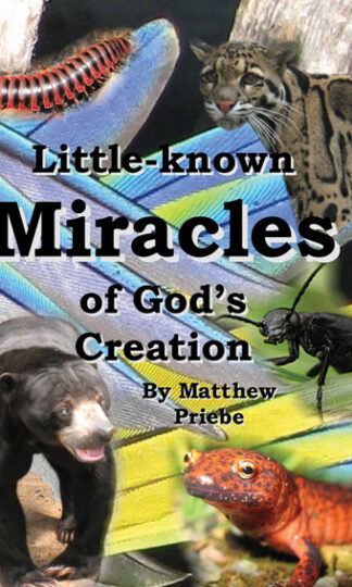 Little Known Miracles of God’s Creation