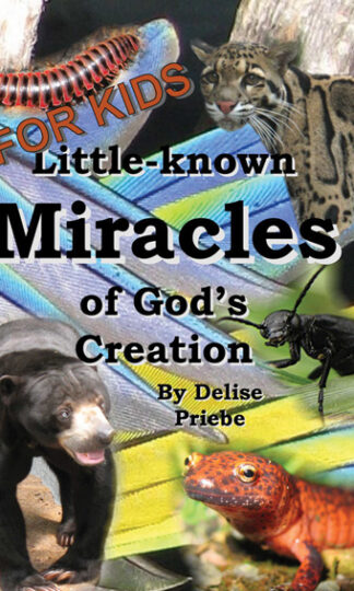 Little Known Miracles of God’s Creation: for Kids!