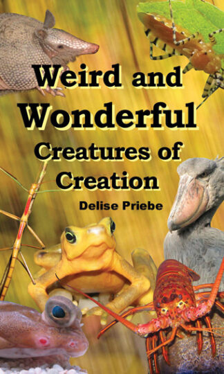 Weird and Wonderful Creatures of Creation: for Kids!