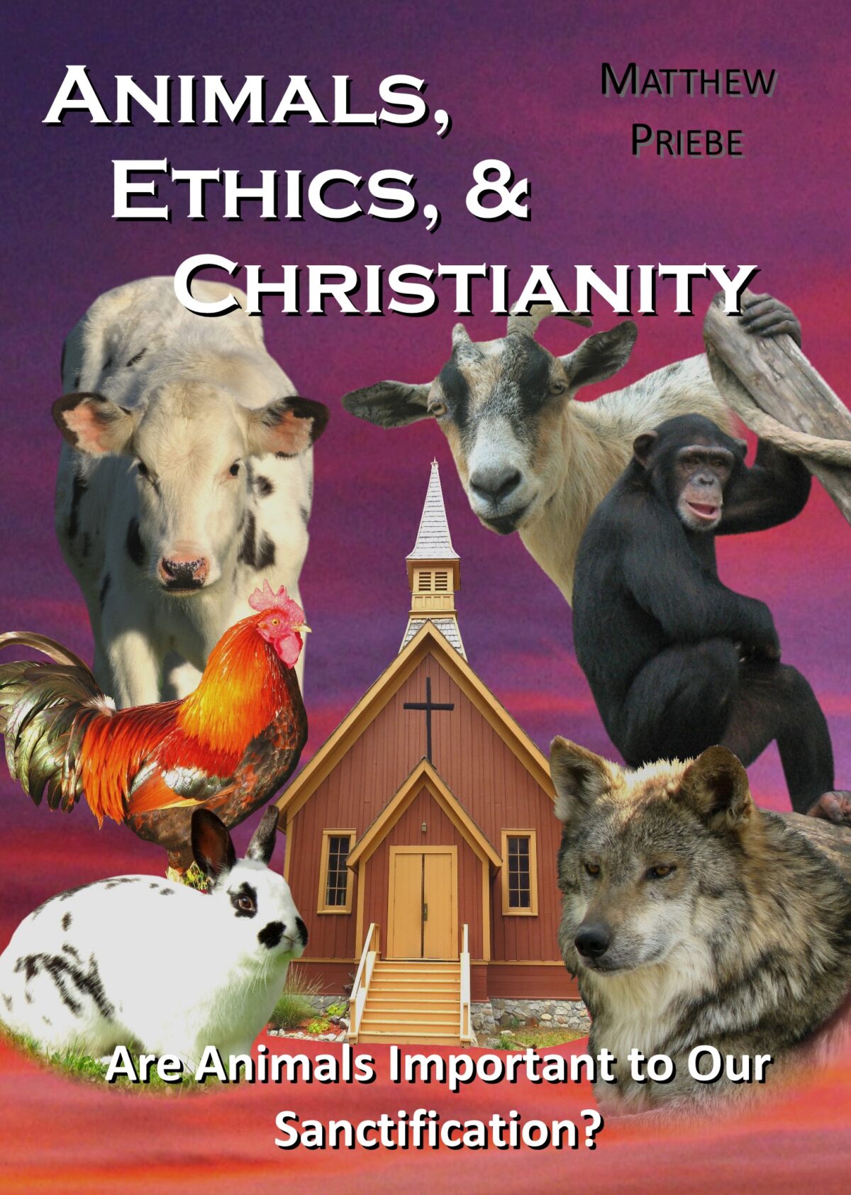 Animals, Ethics, & Christianity Video