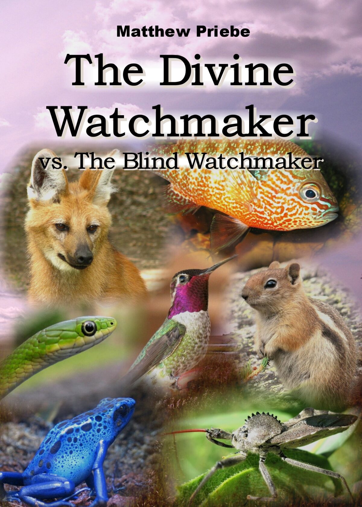 The Divine Watchmaker vs. The Blind Watchmaker Video