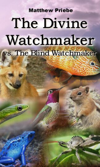 The Divine Watchmaker vs. The Blind Watchmaker