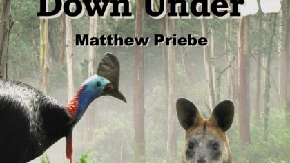 11.1 _ 11.2 Down Under