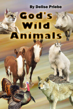 11-God’s Wild Animals original