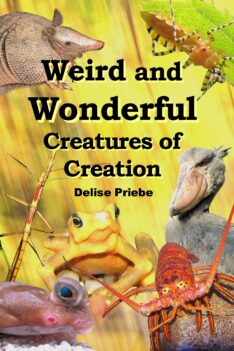 8 Weird and Wonderful