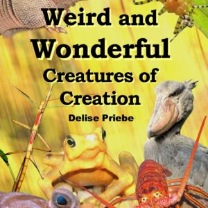 8 Weird and Wonderful