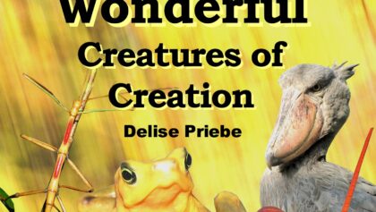 8 Weird and Wonderful