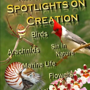 Spotlights 2.1-2.6